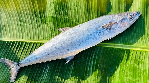 காசிமேடில் மீன்கள் விலை உயர்வு: வஞ்சிரம் கிலோ ரூ.1400-க்கு விற்பனை