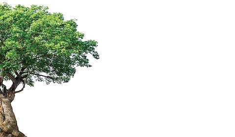 நாம் தேடுவது நம்மைத் தேடும் | வாழ்க்கையின் சீக்ரெட் ரெசிபி - 7