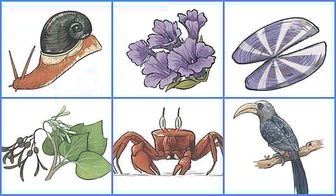 வந்துவிட்டது இயற்கைத் தமிழ் அரிச்சுவடி!