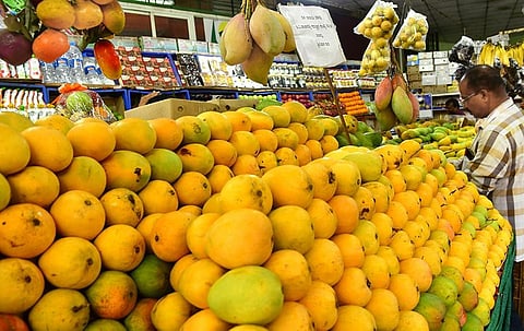 கர்நாடகா Vs ஆந்திரா - மாம்பழ சண்டை..!