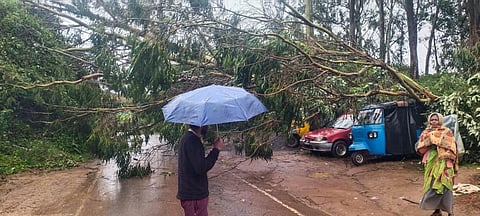 நீலகிரியில் கனமழை: பள்ளிகளுக்கு விடுமுறை, அவலாஞ்சியில் 292 மில்லி மீட்டர் மழை பதிவு
