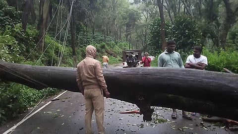 கனமழை: கேரளாவில் 9 மாவட்டங்களில் பள்ளி, கல்லூரிகள் விடுமுறை: கர்நாடகாவுக்கு ரெட் அலர்ட்