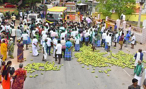 படங்கள்: வி.எம்.மணிநாதன்