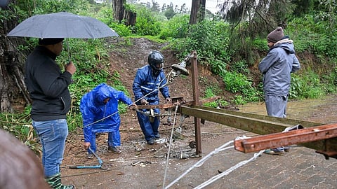 நீலகிரியில் இன்று கனமழைக்கு வாய்ப்பு: வானிலை மையம் தகவல்