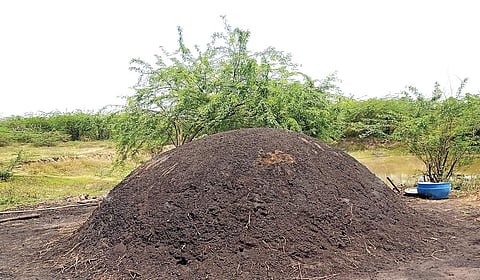 காசாகும் கரி