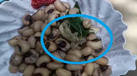 சென்னை பல்கலை.யில் ‘நான் முதல்வன்' திட்ட பயிற்சி முகாமில் பல்லி விழுந்த பயறு வழங்கியதாக பேராசிரியர்கள் போராட்டம்