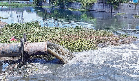 சென்னை குடிநீர் வாரியம் சார்பில் வீடுகளில் இருந்து சேகரிக்கப்பட்ட சுத்திகரிக்கப்படாத கழிவுநீர் வட சென்னை கொருக்குப்பேட்டை, நேதாஜி நகர் அருகில், பக்கிங்ஹாம் கால்வாயில் விடப்படுகிறது. | படம்: ச.கார்த்திகேயன் |