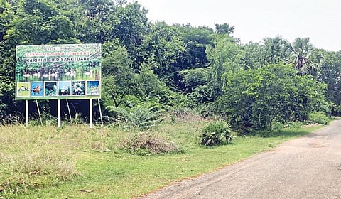 வனத்துறை ஒப்புதல் வழங்குவதில் தாமதம் ஏற்பட்டுள்ளதாக கூறப்படும் வெள்ளப்புத்தூர்-கரிக்கிலி செல்லும் சாலை.