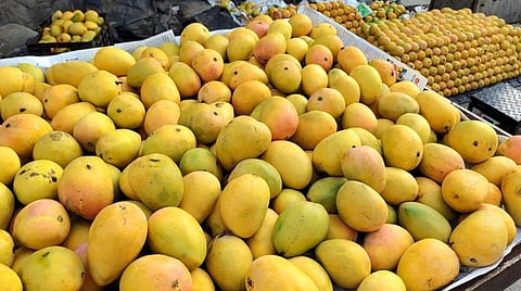 கர்நாடக மாநிலத்தில் பாதிக்கப்பட்ட மாம்பழ விவசாயிகளுக்கு இழப்பீடு: மத்திய அமைச்சர் தகவல்