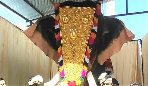 அருப்புக்கோட்டையில் உள்ள கோயிலுக்கு நடிகை த்ரிஷா ‘கஜா’ என்ற இயந்திர யானையை வழங்கியுள்ளார்