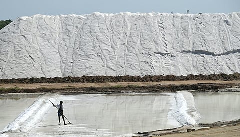 படம்: என்.ராஜேஷ்