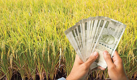 எம்எஸ்பி அறிவிப்பு ஏன் குழப்ப வேண்டும் விவசாயிகளை?