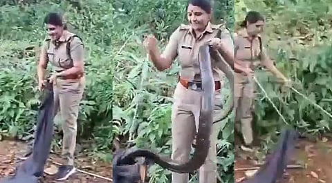 18 அடி நீள ராஜநாகத்தை பிடித்த பெண் அதிகாரி