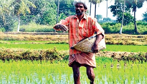 விவசாயிகள் கடன் பெற முடியாமல் தவிக்கவிடும் ‘சிபில் ஸ்கோர்’ நிபந்தனை!
