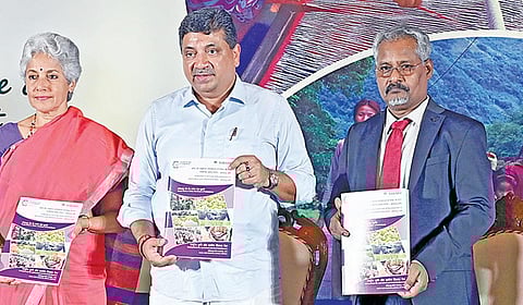 நபார்டு வங்கியின் 44-வது நிறுவன நாள் விழா சென்னை எழும்பூரில் நேற்று நடைபெற்றது. இதில் நபார்டு வங்கியின்
2025-26-ம் நிதியாண்டுக்கான அலகு செலவு கையேட்டை தமிழ்நாடு தகவல் தொழில்நுட்பத் துறை அமைச்சர் பழனிவேல் தியாகராஜன் வெளியிட்டார். உடன், எம்.எஸ்.சுவாமிநாதன் ஆராய்ச்சி நிறுவனத்தின் தலைவர் சவுமியா சுவாமிநாதன், நபார்டு வங்கியின் தலைமை பொதுமேலாளர் ஆர்.ஆனந்த், பொதுமேலாளர் ஹரி கிருஷ்ணராஜ், ரிசர்வ் வங்கியின் மண்டல பொது மேலாளர் வி.சீனிவாசன். | படம்: எஸ்.சத்தியசீலன் |