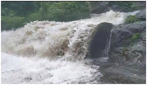 அருவிகளில் வெள்ளப் பெருக்கு: கோவை குற்றாலம் செல்ல சுற்றுலா பயணிகளுக்கு தடை