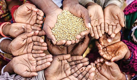 உபரி உணவும் பசிப்பிணி அரசியலும்