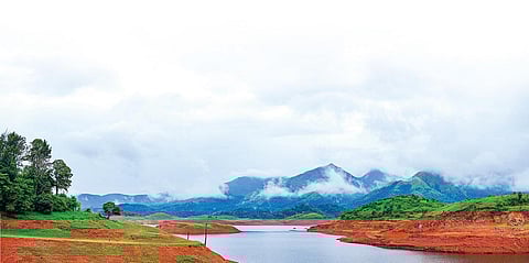 மேற்குத் தொடர்ச்சி மலையின் மற்றுமொரு புதையல்