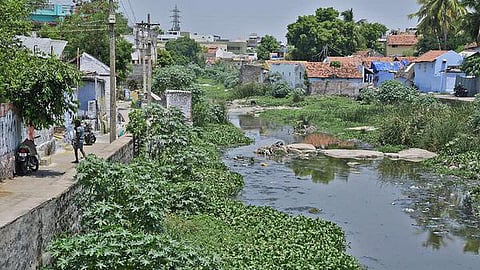 பிரதிநிதித்துவப் படம்.