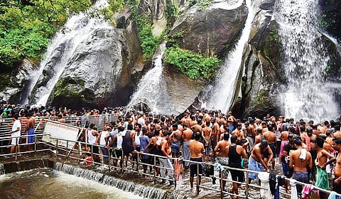 ஆயிரம் கண் போதாது வண்ணக்கிளியே! | பாற்கடல் 28