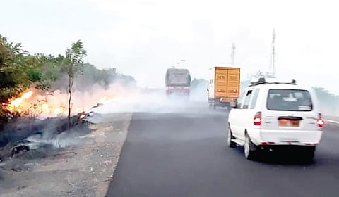 தூத்துக்குடி - மதுரை தேசிய நெடுஞ்சாலையோரம் உள்ள மரங்களில் பற்றி எரியும் தீயால் அப்பகுதியில் புகை மண்டலம் உருவானது.
