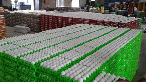 நாமக்கல்லில் உள்ள குளிர்பதன கிடங்கு ஒன்றில் முட்டைகள் இருப்பு வைக்கப்பட்டுள்ளது (கோப்புப் படம்)