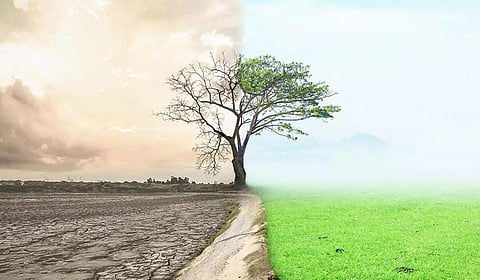 காலநிலை மாற்றமும் தாவரங்களும்: ஈரோட்டில் நாளை கருத்தரங்கு