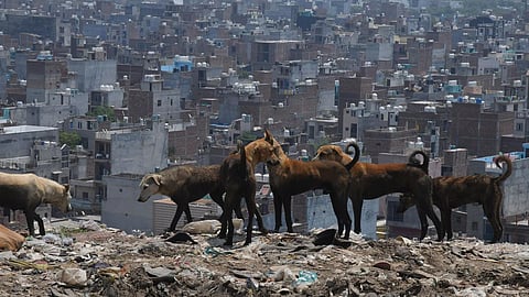 கோப்புப்படம்