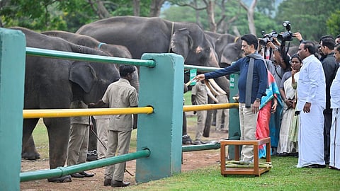 கோப்புப்படம்