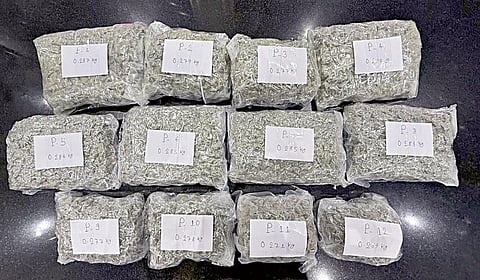 கோவை விமான நிலையத்தில் ரூ.7 கோடி மதிப்புள்ள ‘ஹைட்ரோபோனிக்’ கஞ்சா பறிமுதல்!