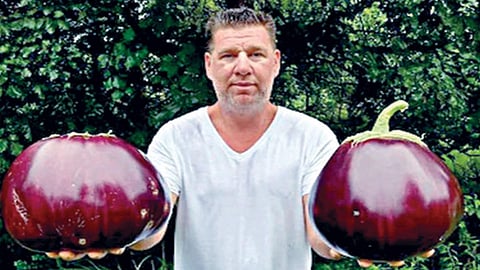 சுமார் 4 கிலோ கத்தரிக்காயை உற்பத்தி செய்து கின்னஸ் உலக சாதனை படைத்த அமெரிக்க விவசாயி!