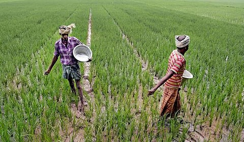 குறைந்தபட்ச ஆதார விலை: நெல் விவசாயிகளுக்கு நிறைவளிக்க வேண்டாமா?