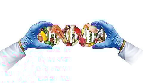 வளர்ந்து வரும் ஊட்டச்சத்து அறிவியல் படிப்புகள் | புதியன விரும்பு 2.0 - 20