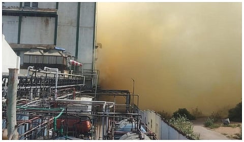 கடலூர் சிப்காட் பாதிப்புகள் குறித்து வெள்ளை அறிக்கை வெளியிட வேண்டும்: ராமதாஸ்