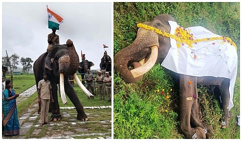 முதுமலை முகாமின் அடையாளமாக திகழ்ந்த யானை சந்தோஷ் உயிரிழப்பு