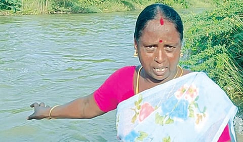 மாங்கனி