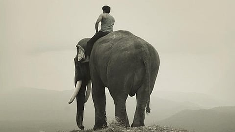 யானைக்கும் சிறுவனுக்குமான அன்பைச் சொல்லும் ‘கும்கி 2’!