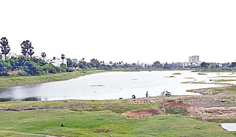 | படங்கள்: எம்.முத்துகணேஷ் |