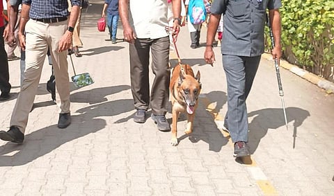 கோப்புப் படம்