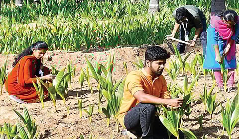 என்றும் பசுமை மாறாத வேளாண் படிப்புகள் | புதியன விரும்பு 2.0 - 22