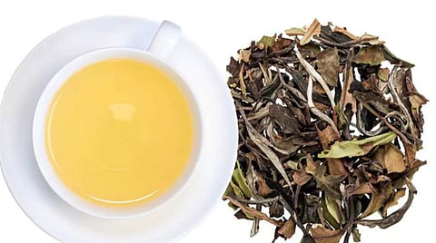 உணவு சுற்றுலா: நீலகிரி வொயிட் டீ