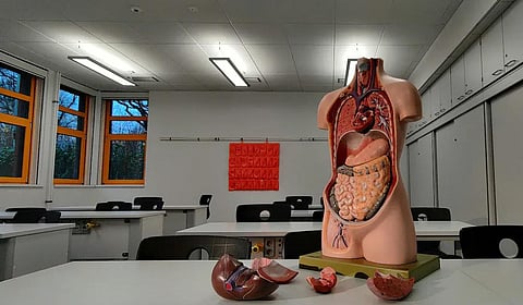 ஆய்வகத்தில் உருவான இதயம், கல்லீரல்: அமெரிக்க விஞ்ஞானிகள் சாதனை