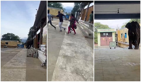 கோவை வெள்ளியங்கிரி ஆண்டவர் கோயிலில் நுழைந்த காட்டு யானை: பக்தர்கள் அலறி அடித்து ஓட்டம்!