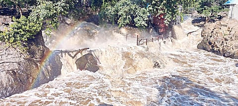 ஒகேனக்கல் காவிரியில் பிரதான அருவி பகுதியில் செந்நிறத்தில் ஆர்ப்பரித்துக் கொட்டும் தண்ணீர்.