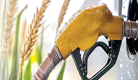 எத்தனால் கலந்த பெட்ரோல் விவசாயத்துக்கு சாதகமா?