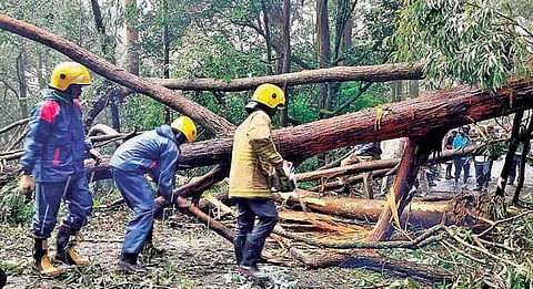 குன்னூரில் கனமழையால் வீடுகளுக்குள் தண்ணீர் புகுந்து பாதிப்பு