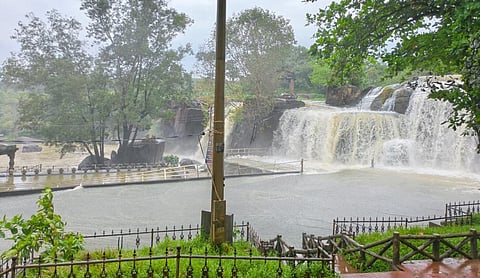 குமரியில் விடிய விடிய கனமழை - திற்பரப்பு அருவியில் குளிக்க தடை