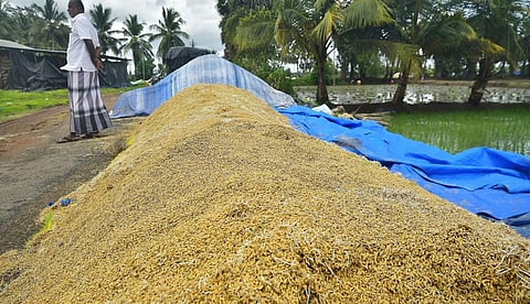 ‘நல்ல மகசூல் கிடைத்தும் வீண்...’ - டெல்டா மாவட்ட விவசாயிகள் வேதனை