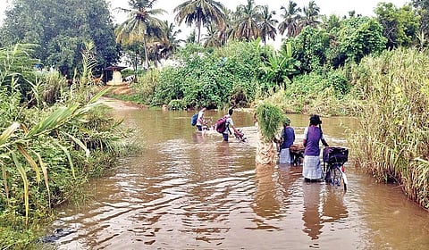 திருப்பத்தூர் அருகே பாம்பாற்று வெள்ளத்தை கடந்து செல்லும் பள்ளி மாணவ, மாணவிகள்.