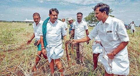 தஞ்சாவூர் அருகே ஆலக்குடியில் மழையால் சேதமடைந்த நெல் வயலை நேற்று பார்வையிட்ட பாஜக மாநிலத் தலைவர் நயினார் நாகேந்திரன்.